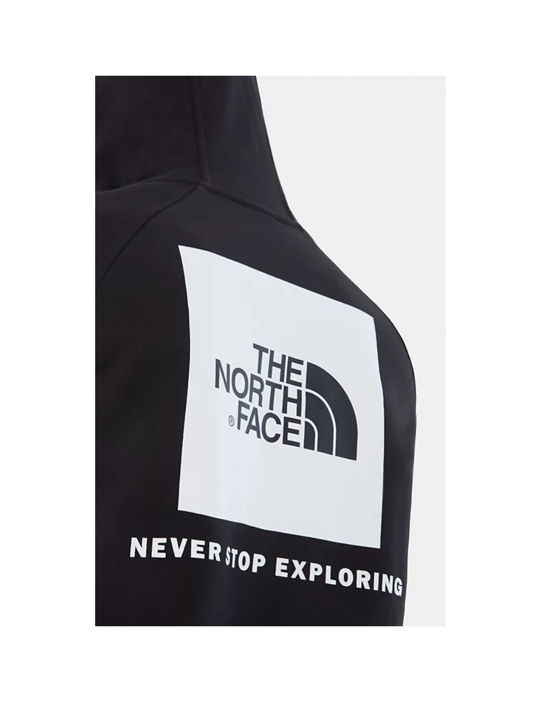 Sudadera THE NORTH FACE raglan red box hoodie tnf black